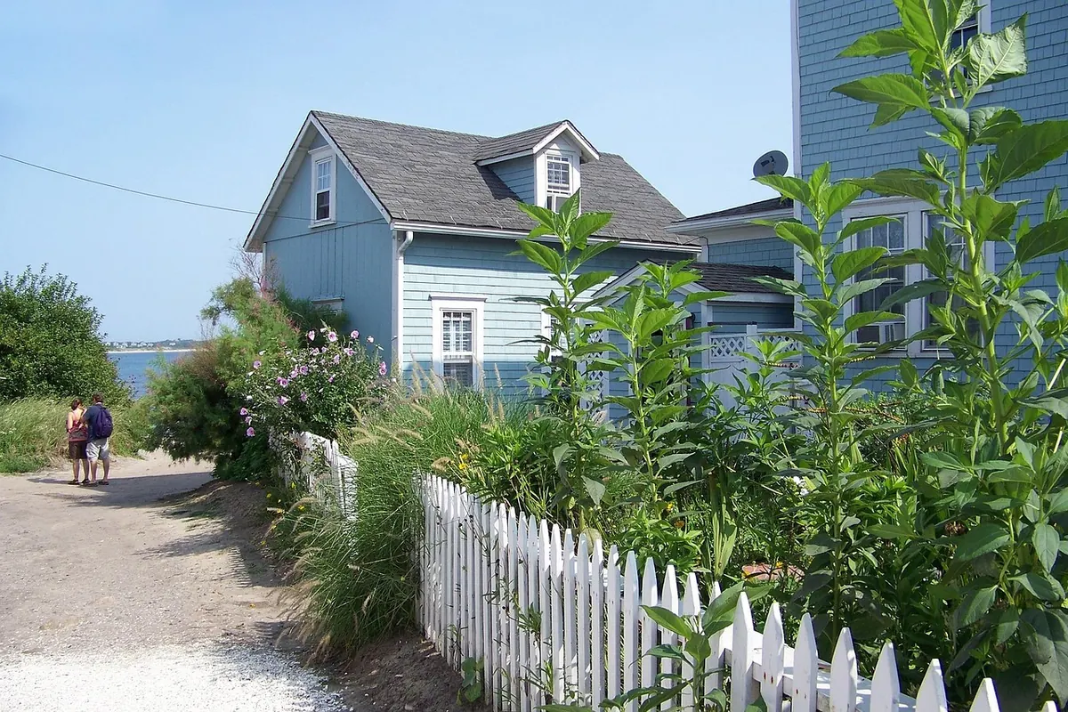 Beginner's Guide to Starting a Coastal Garden from Scratch