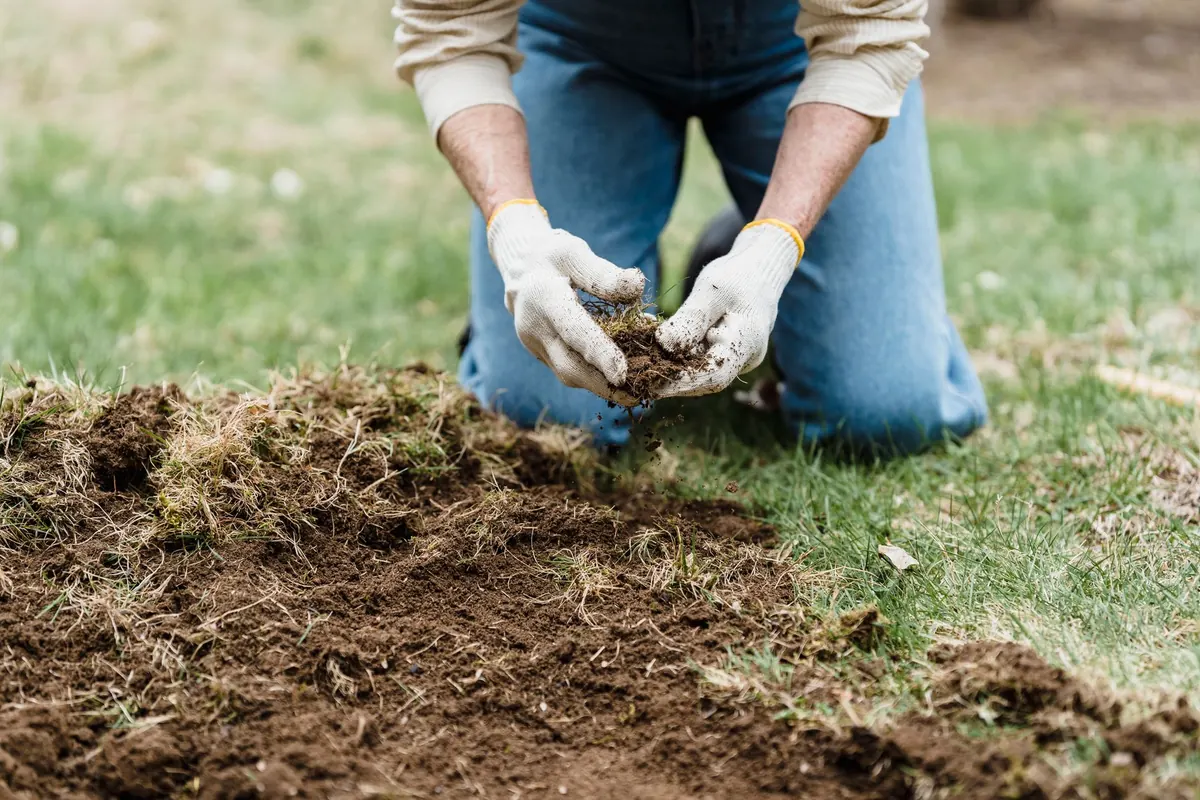 Coastal Soil pH and Salinity: A Plain-English Explainer