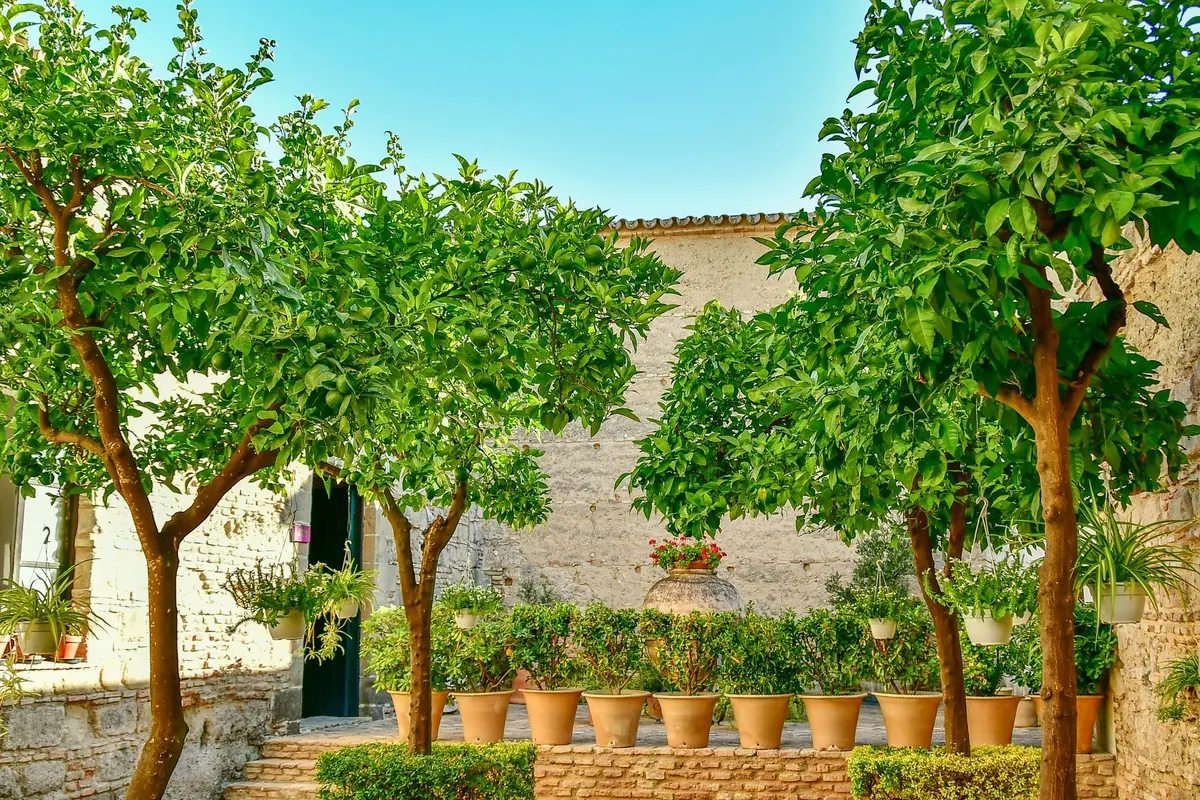 How to Create a Sheltered Microclimate in a Small Coastal Courtyard