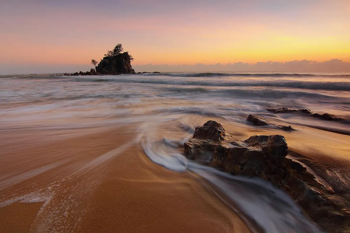 How to Improve Sandy Coastal Soil with Organic Matter