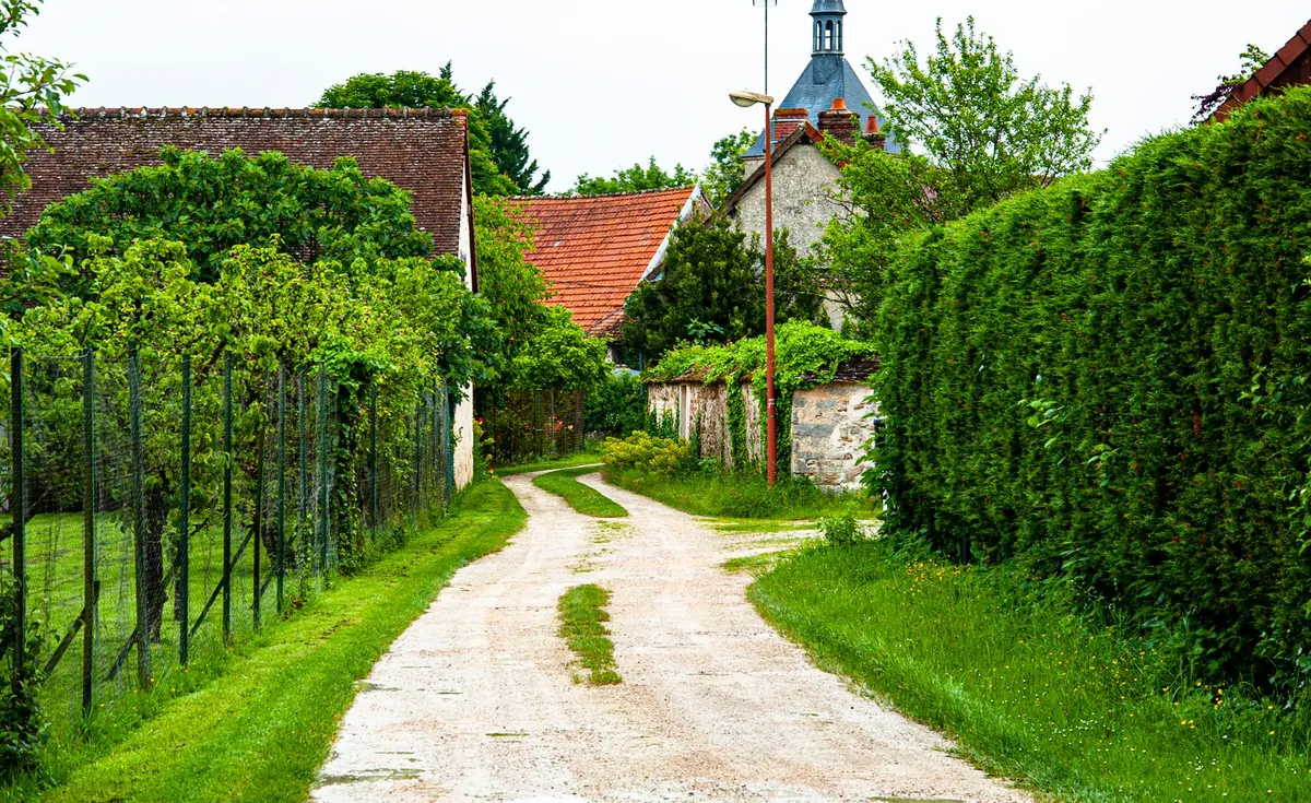 Living Windbreak vs Solid Fence: Which Is Better for a Coastal Garden?