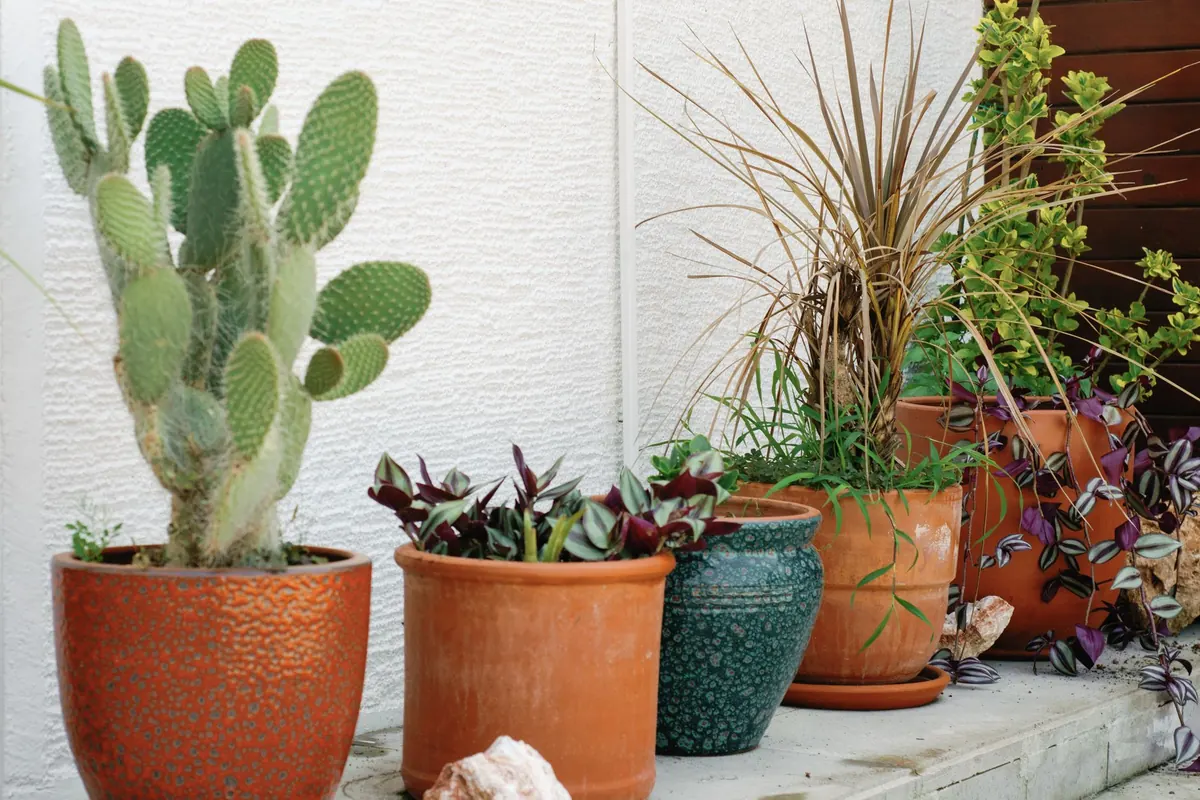 Storm Checklist: Protecting Pots and Containers Before Coastal Gales