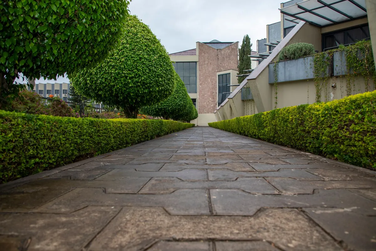 Windbreak Maintenance Checklist: Pruning, Repairing and Replacing After Storms